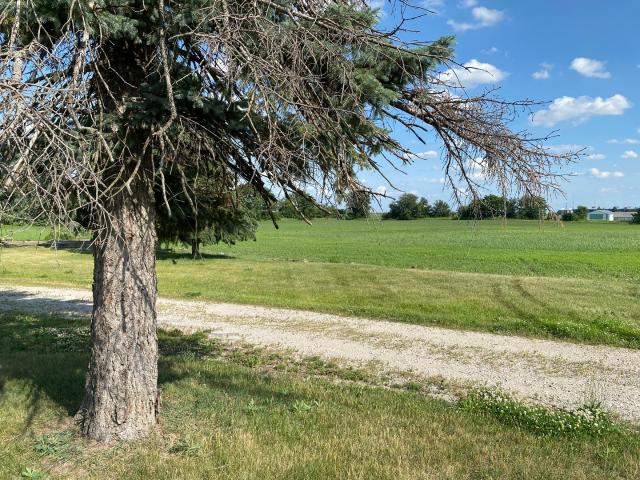 Commercial Land for sale in Joliet