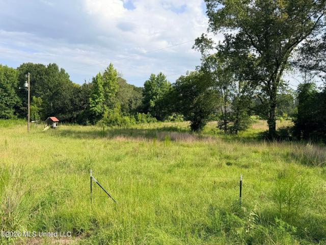 Land for sale in Crystal Springs, Mississippi