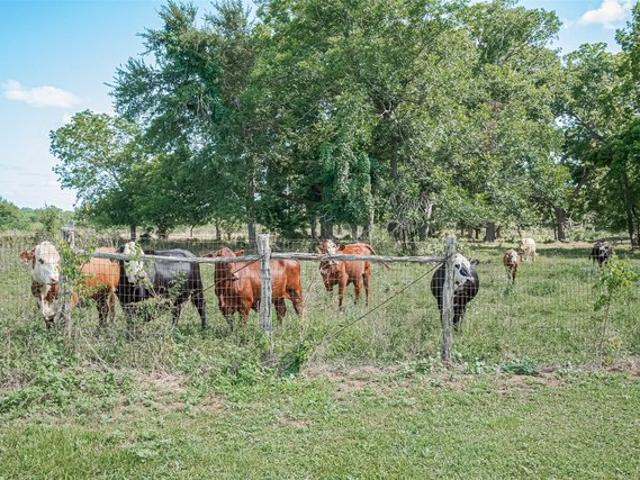 Farm for sale in Pattison, Texas
