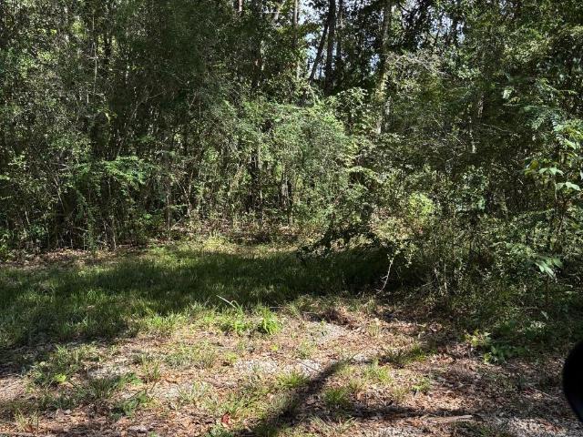 Land for sale in Lacombe, St. Tammany Parish