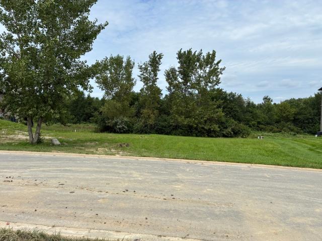 Land for sale in Monee, Will County
