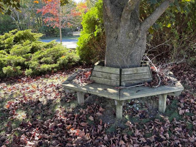 House for sale in Alpena, Michigan