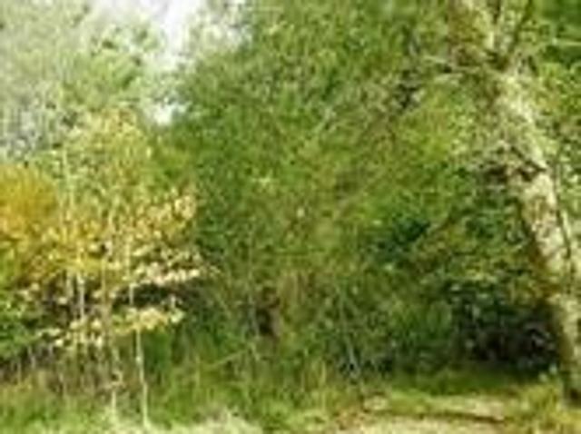Land for sale in Damascus, Maryland