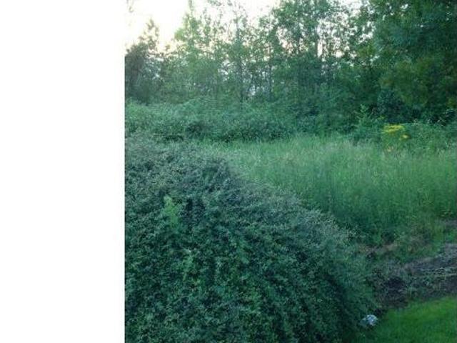 Land for sale in Battle Ground, Washington