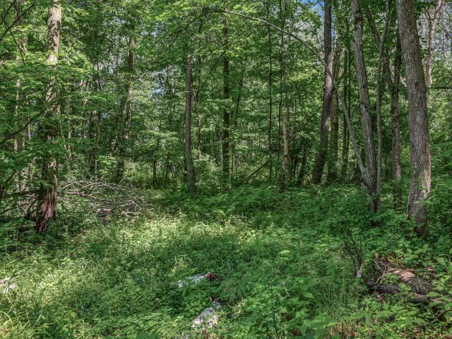 Land for sale in Chisago City, Minnesota