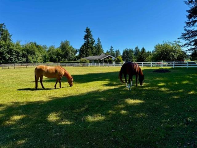 House for sale in British Columbia