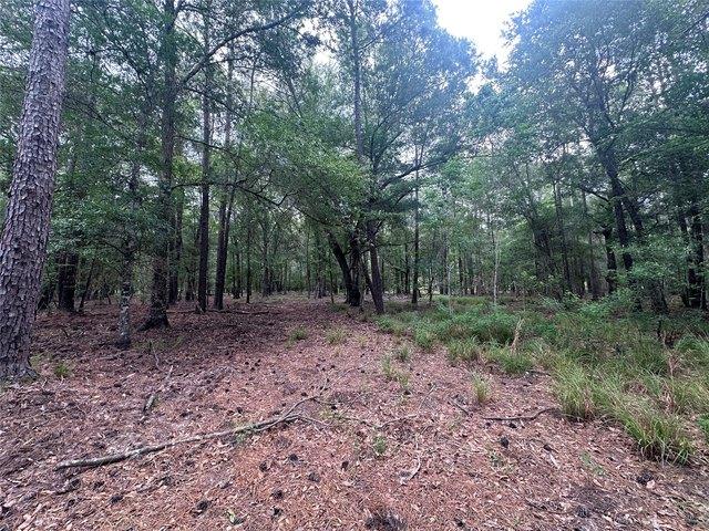 Land for sale in Polk, Texas