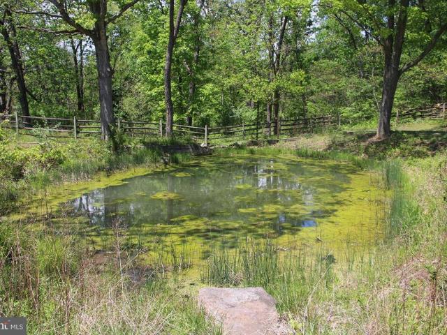 Land for sale in Virginia