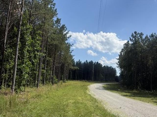 Land for sale in Tennessee