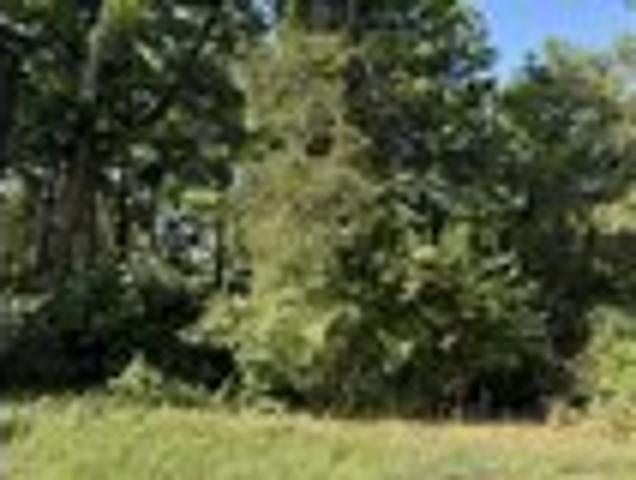 Land for sale in Versailles, Kentucky