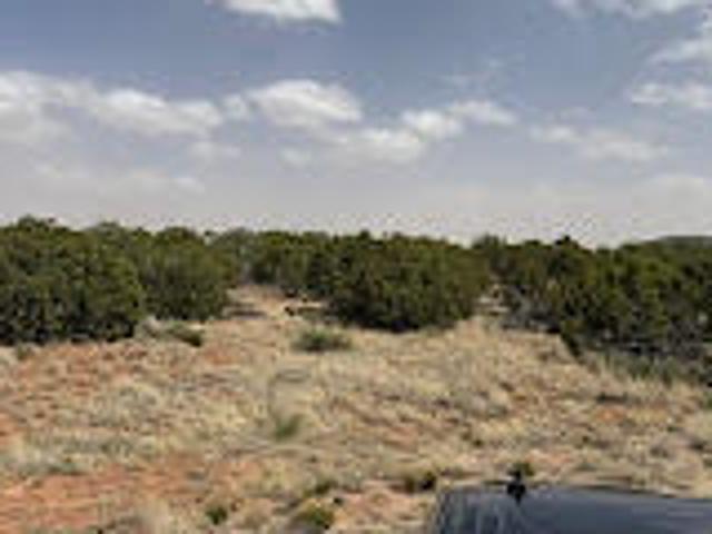 Land for sale in Mountainair, New Mexico