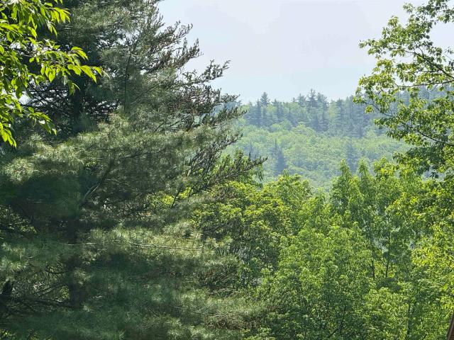 Land for sale in West Halifax, Vermont