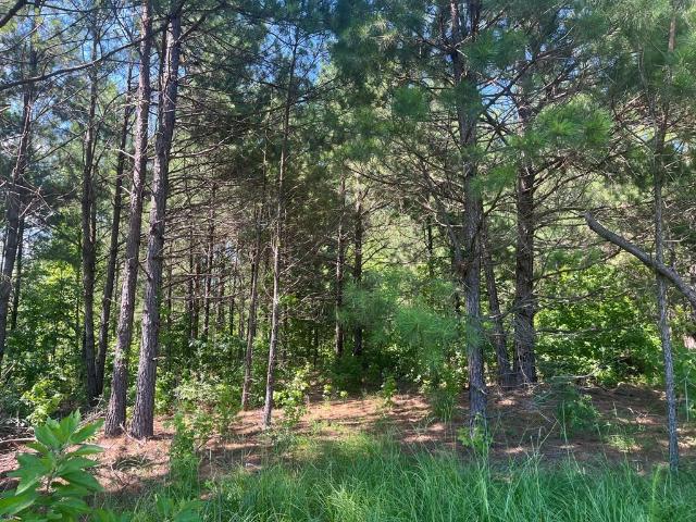 Land for sale in San Augustine, Texas