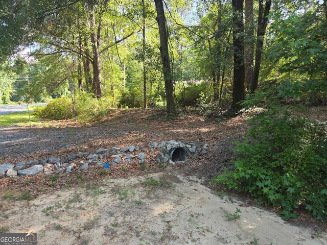 Land for sale in Dublin, Georgia