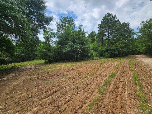 Land for sale in Billingsley, Alabama