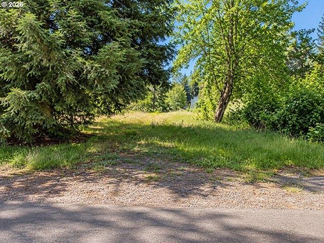 Land for sale in Bethel, Eugene