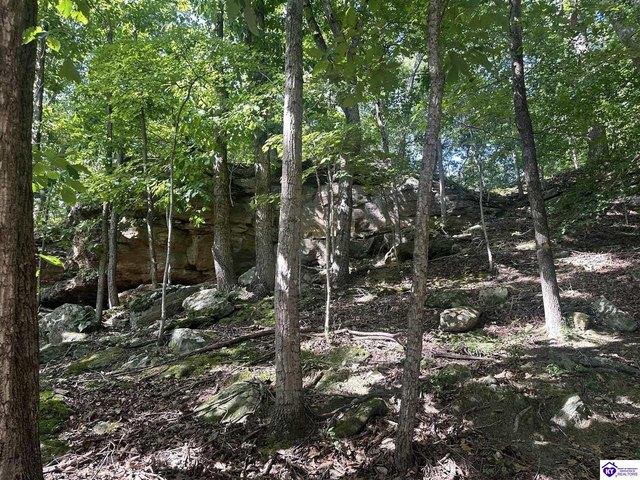 Land for sale in Kentucky