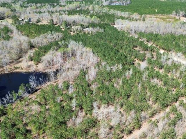 Land for sale in Mount Croghan, South Carolina