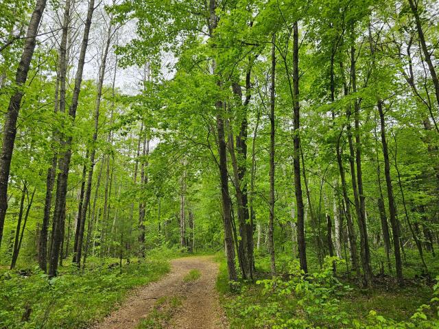 Land for sale in Wisconsin