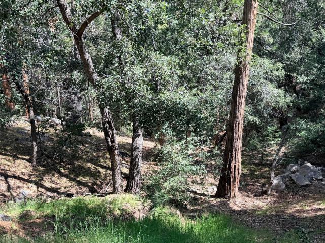 Land for sale in Idyllwild, California