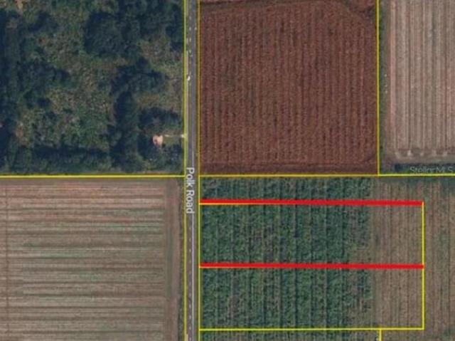 Land for sale in Bowling Green, Florida
