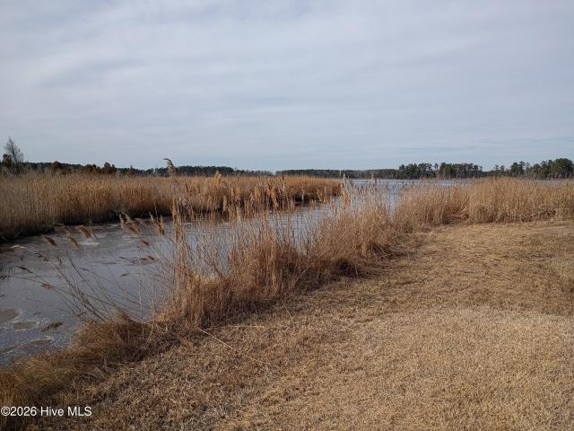 Land for sale in Aurora, North Carolina