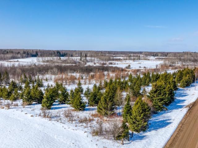 Land for sale in Beltrami, Minnesota
