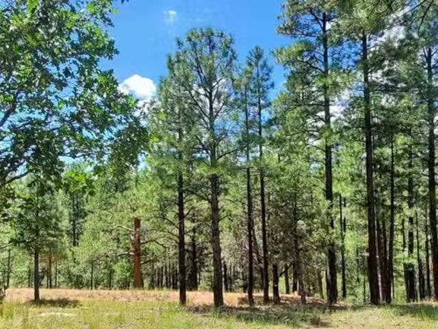 House for sale in Flagstaff