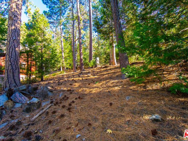 House for sale in Idyllwild, California