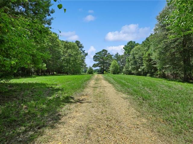 Land for sale in Franklinton, Louisiana
