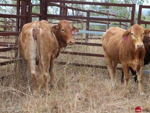 Cottage for sale in Mount Perry, Queensland