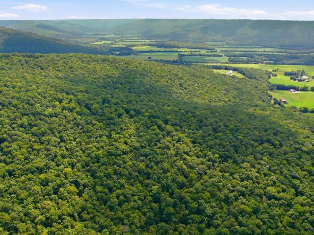 Land for sale in Alabama