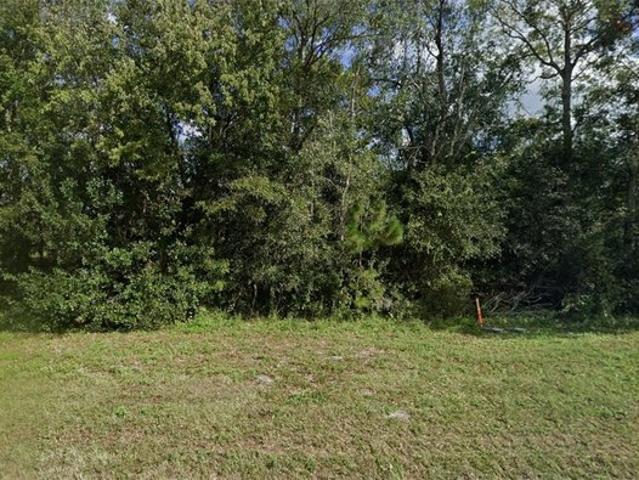 Land for sale in Polk City, Florida