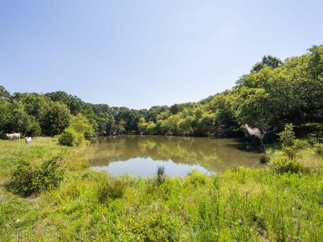 Farm for sale in Jerico Springs, Missouri