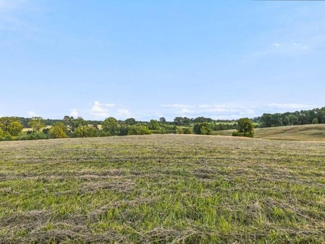 Land for sale in Ware Shoals, South Carolina