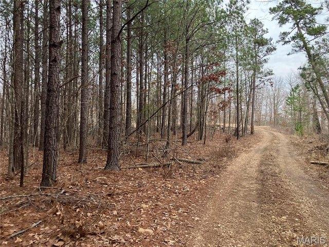 Land for sale in Fredericktown, Missouri