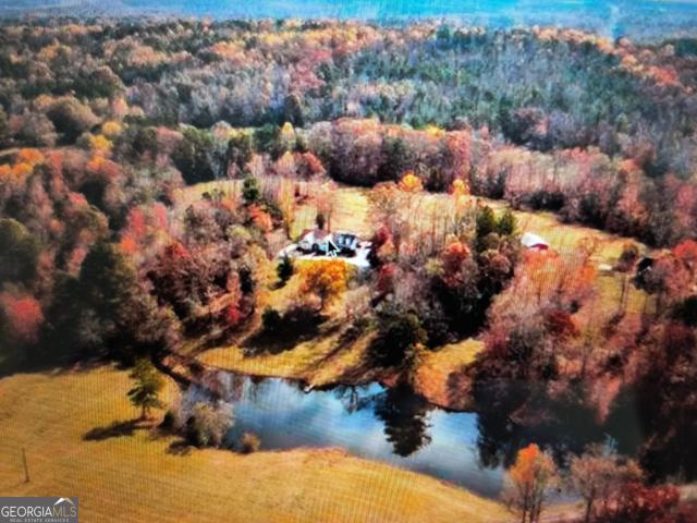 House for sale in Whitesburg, Georgia
