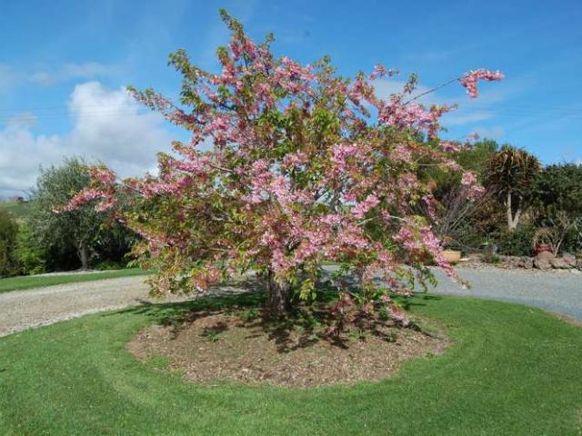House for sale in Kaiwaka, Northland