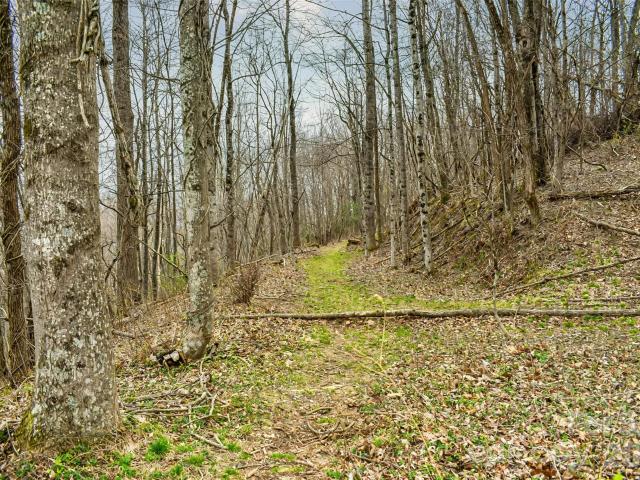 Land for sale in Etowah, North Carolina