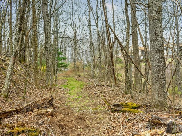 Land for sale in Etowah, North Carolina