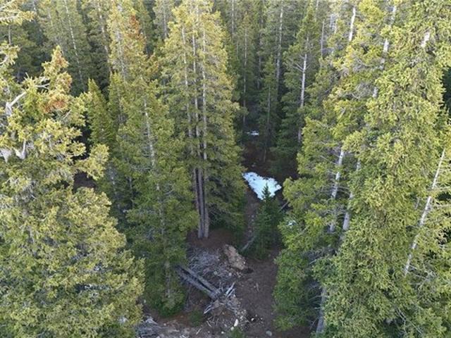 Land for sale in Fairplay, Colorado