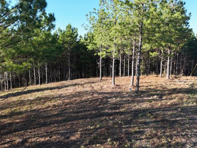 Land for sale in Tennessee