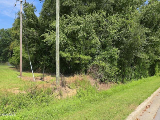 Land for sale in Richlands, North Carolina