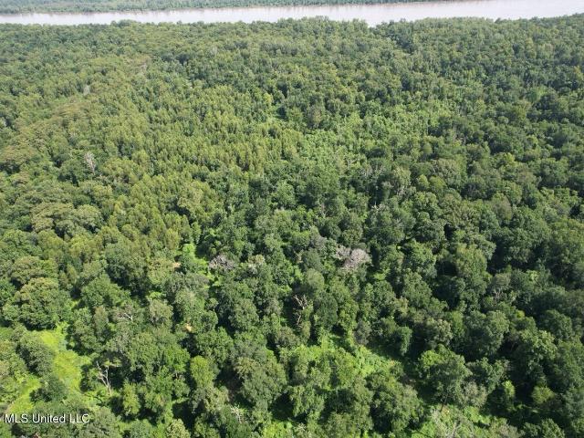 Land for sale in Saint Francisville, Louisiana