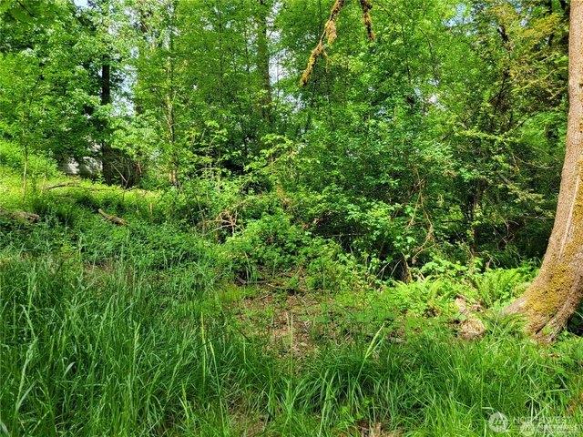 Land for sale in Thurston, Washington