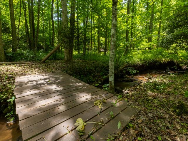 Land for sale in North Carolina