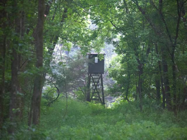 Land for sale in Tennessee