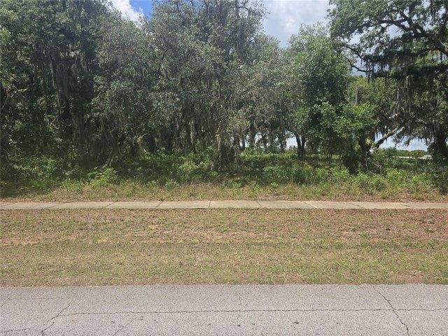 Land for sale in Astatula, Florida