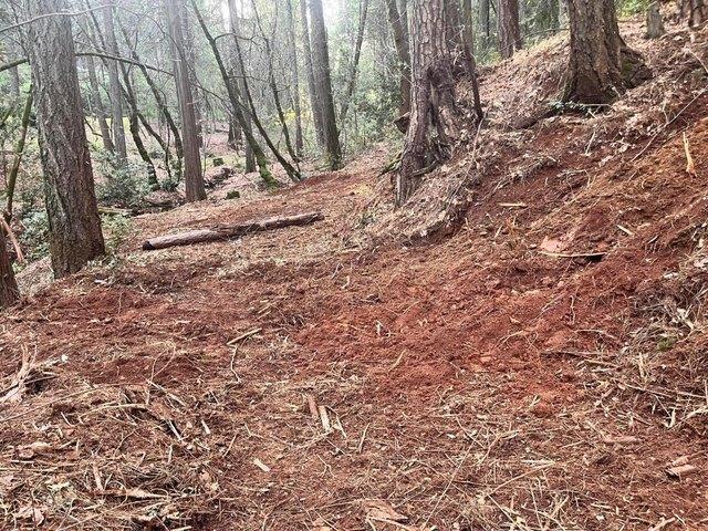 Land for sale in Camino, California