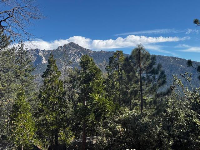Land for sale in Idyllwild, California